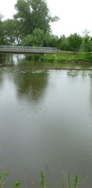 20110703 koenigsfischen jagst 1 bc164b01
