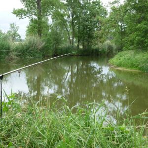 20110703 koenigsfischen jagst 2 95a57bd8