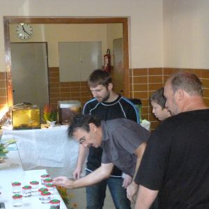 2011 40 jahre asv 53 273672db 2011 40 jahre asv 53 273672db