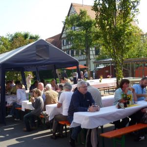 2011 40 jahre asv 68 d2e373cf 2011 40 jahre asv 68 d2e373cf