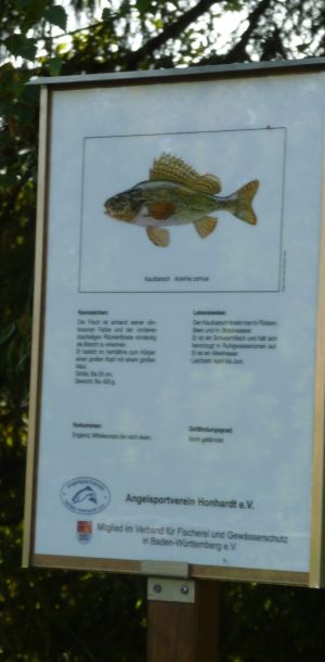 2011 40 jahre asv 9 a4f57f5b 2011 40 jahre asv 9 a4f57f5b