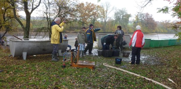 2011     ablassen tiefensee 2011 1 52a1b0ea