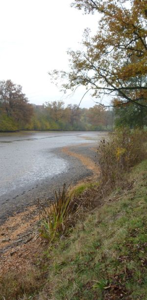 2011     ablassen tiefensee 2011 10 2e834033