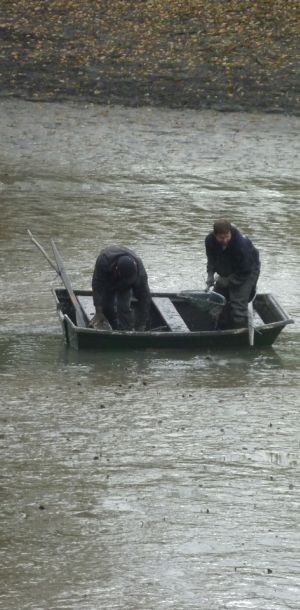 2011     ablassen tiefensee 2011 11 5dd4e7c3