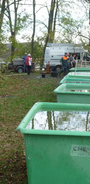 2011     ablassen tiefensee 2011 12 b86c9fe4