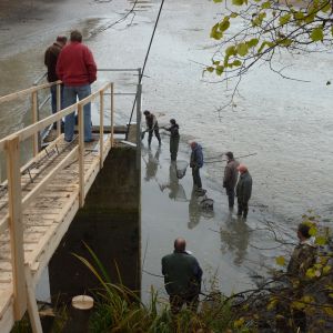 2011     ablassen tiefensee 2011 15 80e24ec9