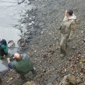 2011     ablassen tiefensee 2011 16 c95c4c56