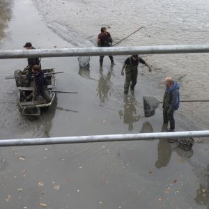 2011     ablassen tiefensee 2011 17 0d0784ca