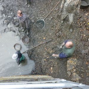 2011     ablassen tiefensee 2011 19 cfab73c0