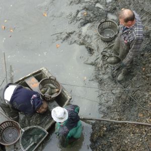 2011     ablassen tiefensee 2011 21 2b224e15