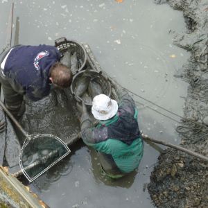 2011     ablassen tiefensee 2011 22 8e454150