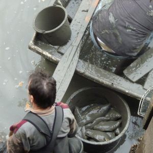 2011     ablassen tiefensee 2011 24 46c02619