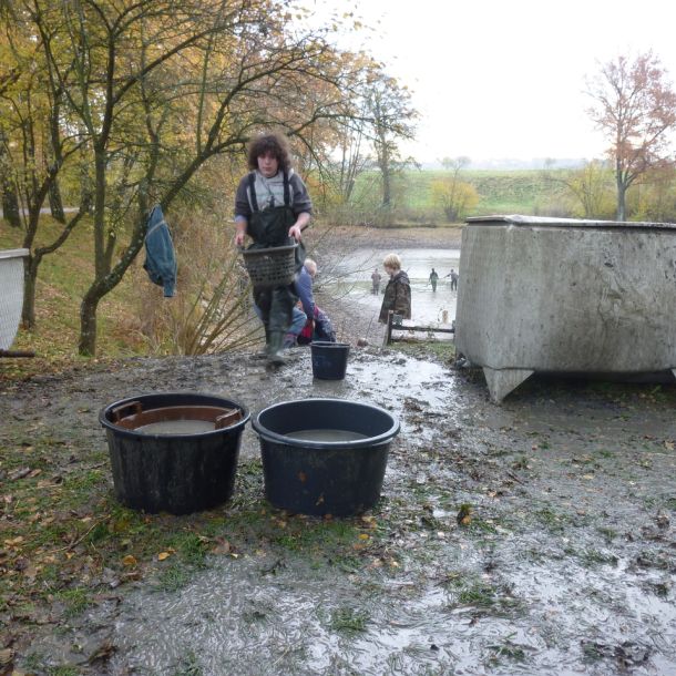 2011     ablassen tiefensee 2011 3 dbaff4e1