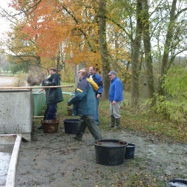 2011     ablassen tiefensee 2011 30 59295955