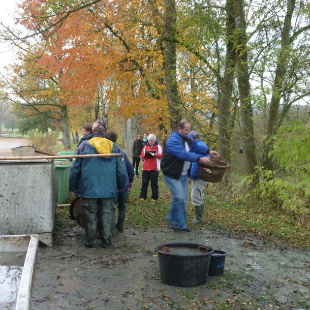 2011     ablassen tiefensee 2011 31 1956b74b