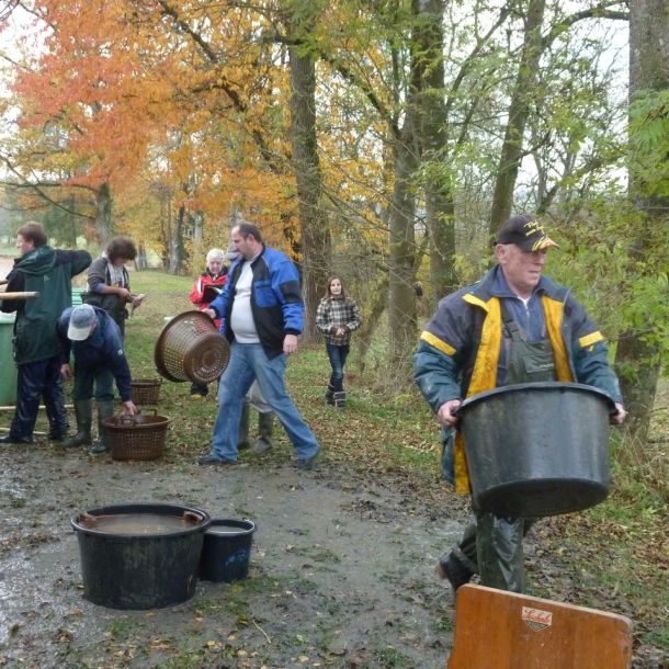 2011     ablassen tiefensee 2011 32 151cb079