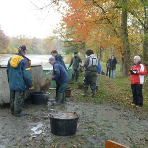 2011     ablassen tiefensee 2011 34 000625a4