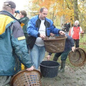 2011     ablassen tiefensee 2011 36 4d04140f