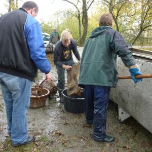 2011     ablassen tiefensee 2011 37 f0a8f0d7