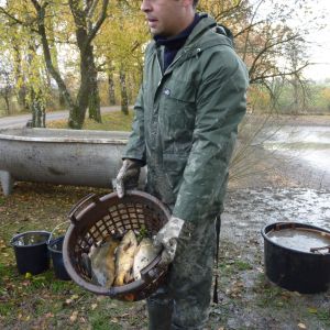 2011     ablassen tiefensee 2011 38 c9fb9faa