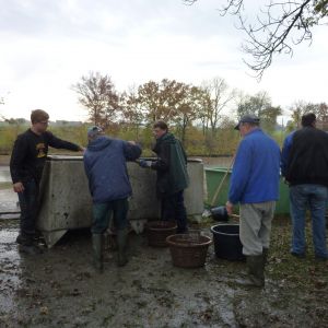 2011     ablassen tiefensee 2011 39 589e0f85