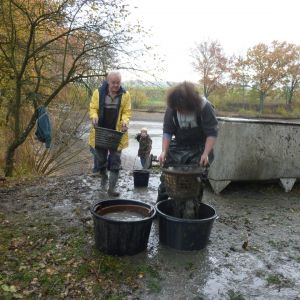 2011     ablassen tiefensee 2011 4 2f17a9e7