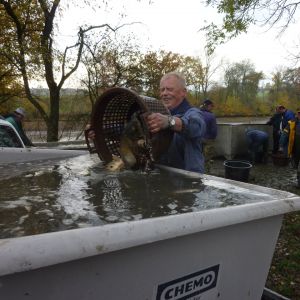 2011     ablassen tiefensee 2011 40 1e26ca4b