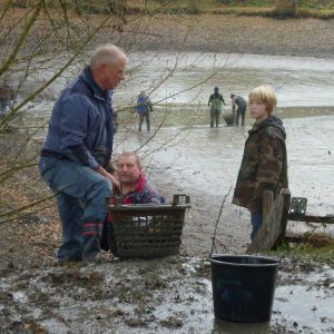 2011     ablassen tiefensee 2011 5 ad8f854c