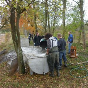 2011     ablassen tiefensee 2011 55 58cbbae6