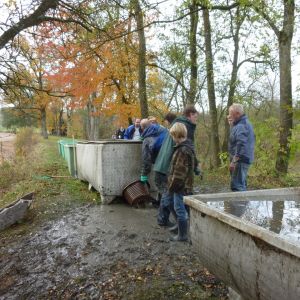 2011     ablassen tiefensee 2011 58 df03852e