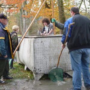 2011     ablassen tiefensee 2011 59 dce454a9