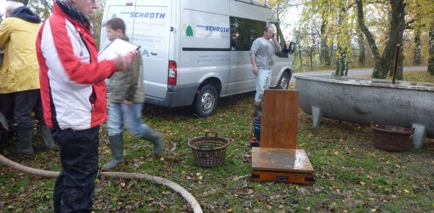 2011     ablassen tiefensee 2011 6 622b1a07