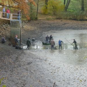 2011     ablassen tiefensee 2011 7 44908c7e