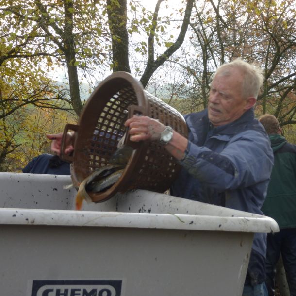 2011     ablassen tiefensee 2011 72 b2075d4e