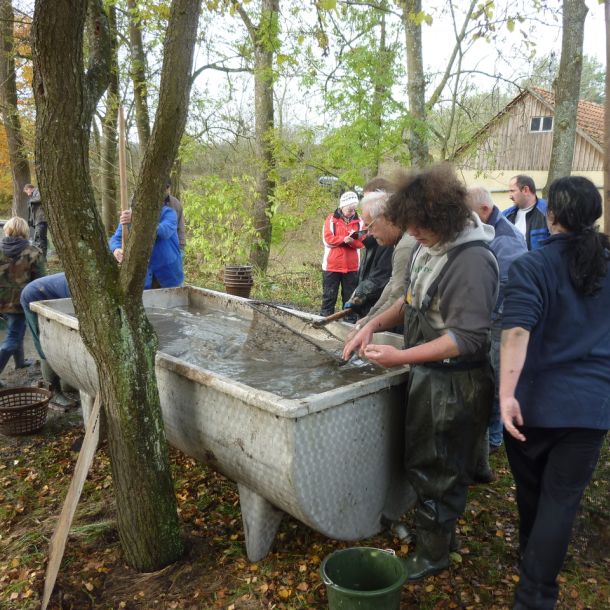 2011     ablassen tiefensee 2011 73 4b53515c