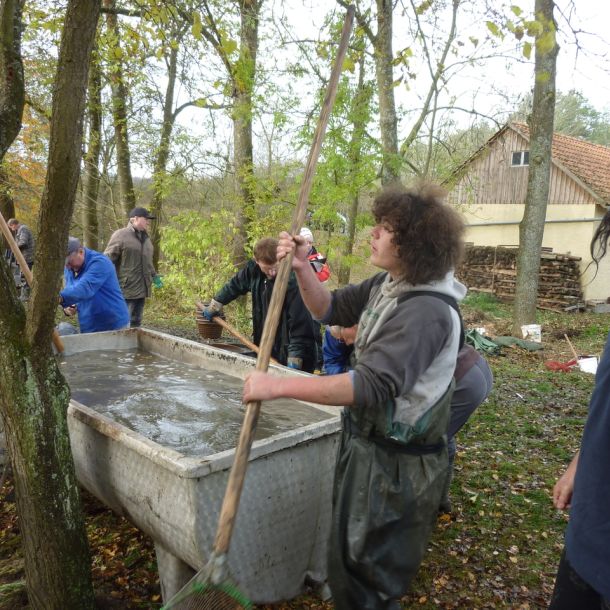 2011     ablassen tiefensee 2011 74 8b49a833