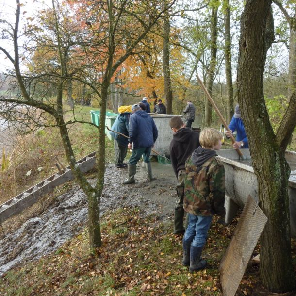 2011     ablassen tiefensee 2011 75 9ea6ad60