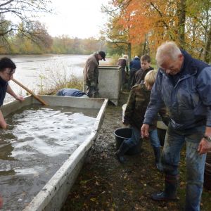 2011     ablassen tiefensee 2011 77 63fbef33