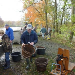 2011     ablassen tiefensee 2011 78 b4fbdf80