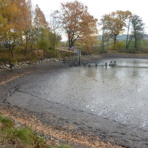 2011     ablassen tiefensee 2011 8 ab984b25