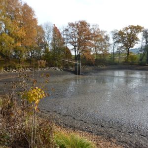 2011     ablassen tiefensee 2011 89 35230e96