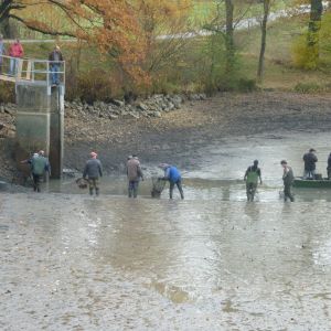 2011     ablassen tiefensee 2011 9 ac87d678