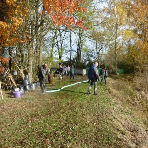 2011     ablassen tiefensee 2011 90 51e14bb6