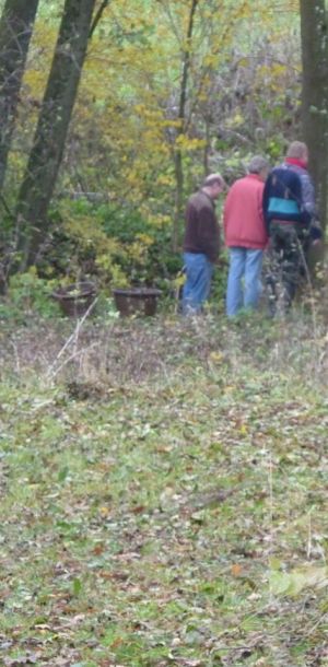 2011     ablassen tiefensee 2011 98 4d11b7d2