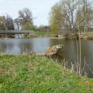 20120417 jagst 6 092d69cb