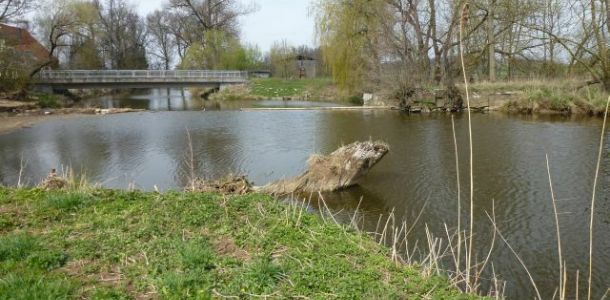 20120417 jagst 6 092d69cb