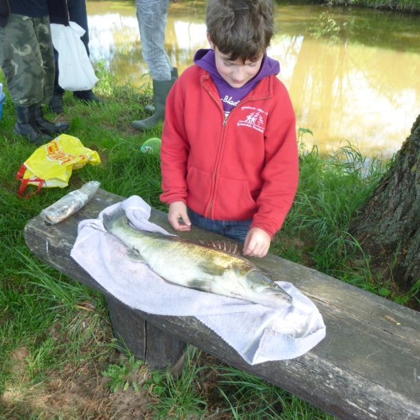 20120520 anfischen jagst 44 37ccd6c0