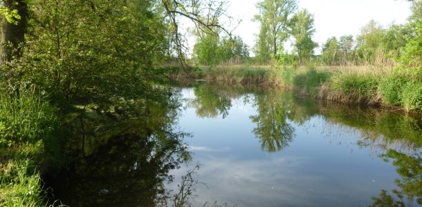 20120520 jagst 1 8f1df2b2