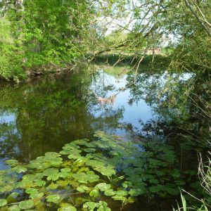 20120520 jagst 2 3db2b856