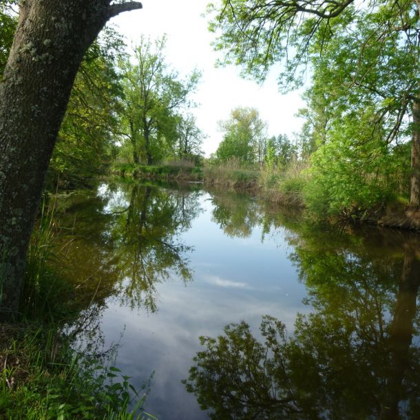 20120520 jagst 4 ab2316ae